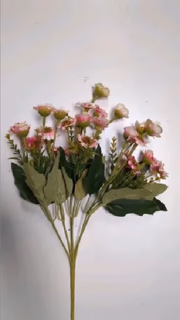 Adium baby pink