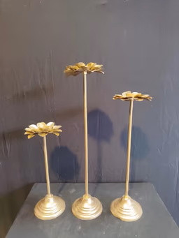 Lotus stand set