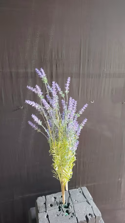 Bada Lavander bunch