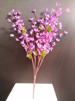 Blossom violet