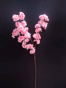 Blossom hangings flower