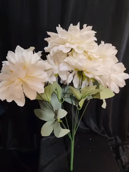 American Dahlia bunch white