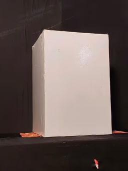 Pathway box wood..