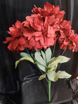 American Dahlia bunch red