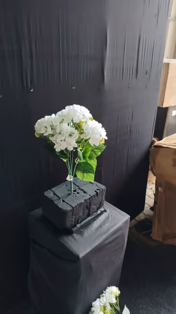 Beijing Hydra bush bunch white
