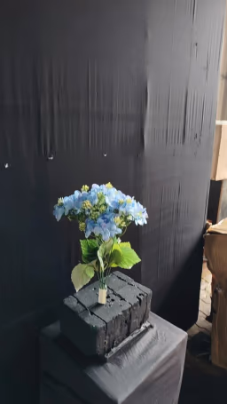 Beijing Hydra bush bunch blue