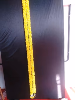 Hangigs mala yellow 11ft