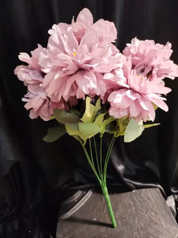 American Dahlia.Bunch