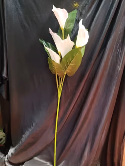 Calathily stick pink white