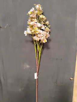 Butterfly long bunch peach