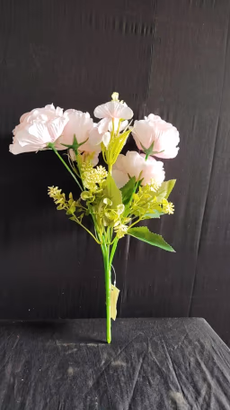 Yami camelia bunch peach