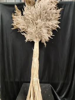 Boho item 4
