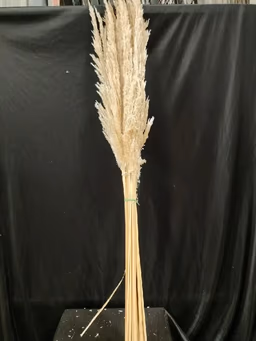 Boho item 5