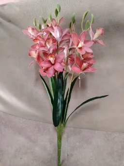 Boat orchid bunch rose