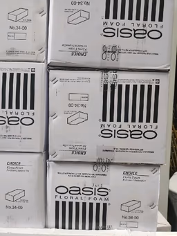 Oasis