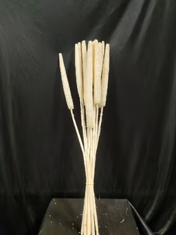 Boho item 2