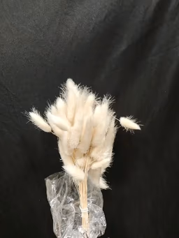 Boho item 1