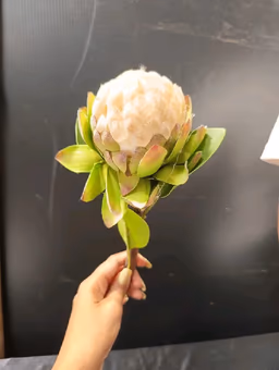 Custered Apple flower 4