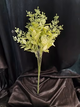 Bodo leaf bunch