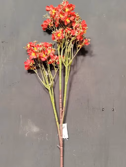Butterfly long bunch Red