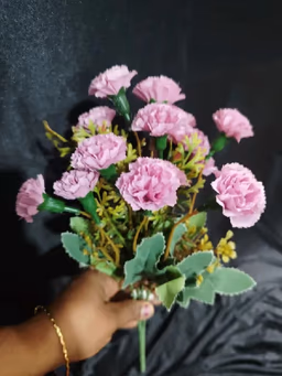 Bloom carnation bunch