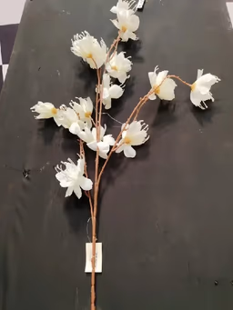 Aron bloom long bunch white