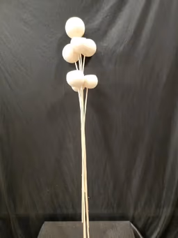 Boho item 3