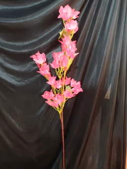 Bougainville stick magenta