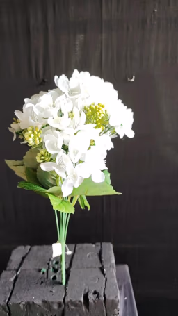 Beijing Hydra bush white