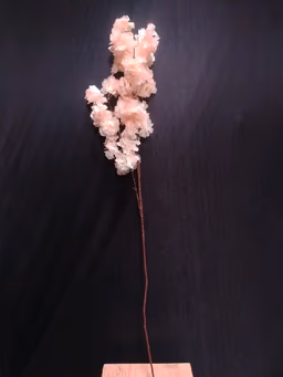 Blossom hangins