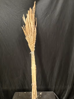 Boho item 6