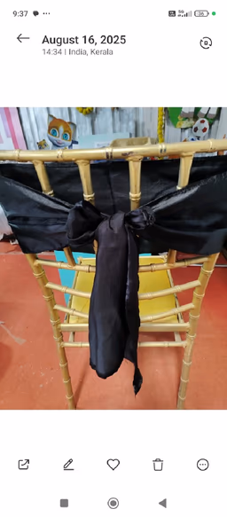 Chair Tie black new