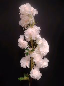 Blossom hangins peach lite