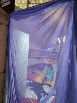 Curtain purple