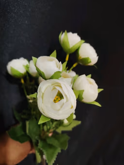 Baby peony bunch white