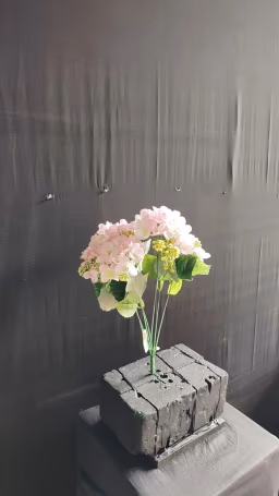 Beijing Hydra Bush bunch peach