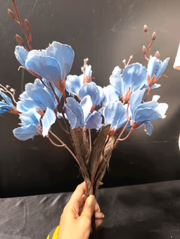 Blue orchid