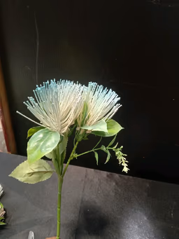 Blue flower
