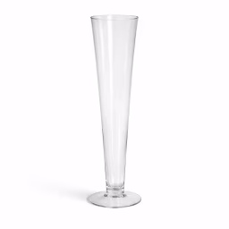 Transparent Flower Vase