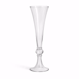 Transparent Flower Vase