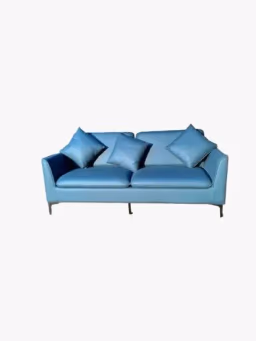 Teal Blue Cushion Sofa