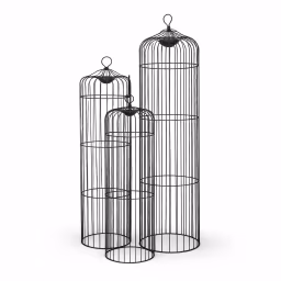 Cage
