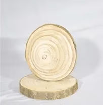 Wooden Slice