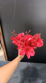 Deep red Orchid 1