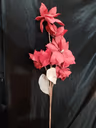 Big magnolia Dark red 3