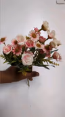 Adium baby pink 2