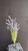 Bada Lavander bunch 1