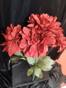 American Dahlia bunch red 2