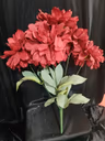 American Dahlia bunch red 3