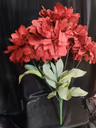 American Dahlia bunch red 1